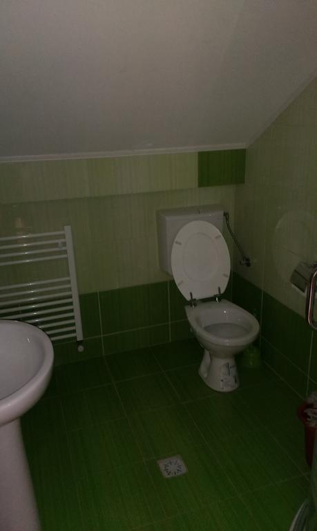 Pensiunea Alex Si Tedi Horezu Quarto foto